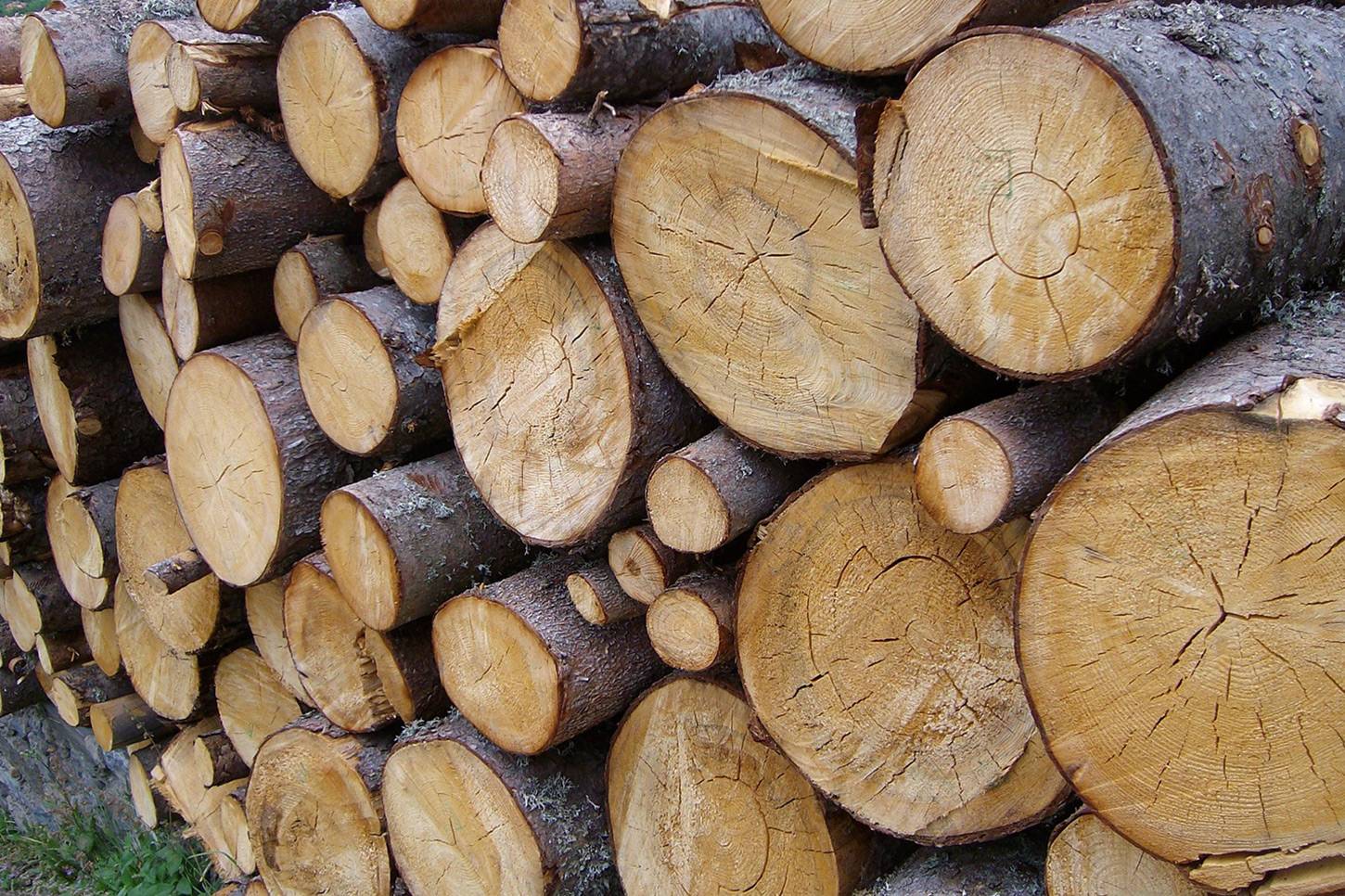 Lumber